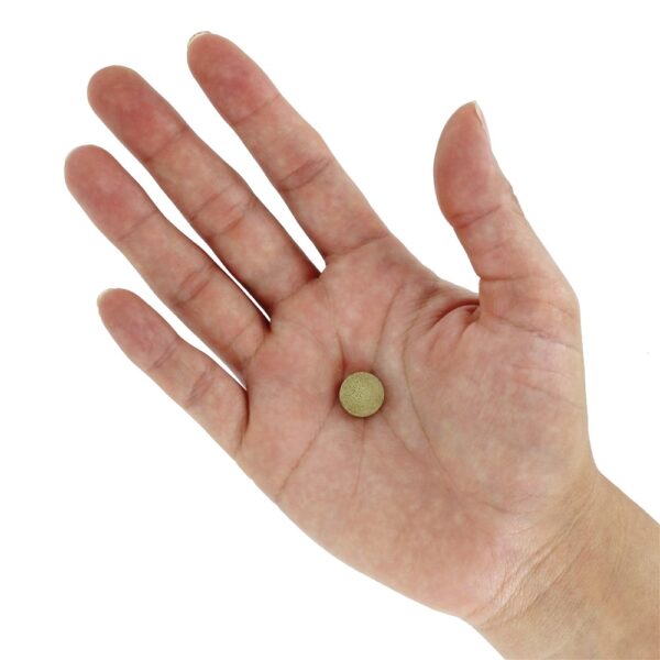 Comprar Tam Herbal Laxante - 250 Tablets American Health - Imagem 5