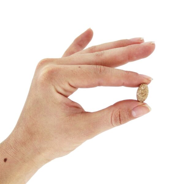 Comprar Super Lion's Mane - 120 Tablets anteriormente Produtos Maitake Mushroom Wisdom - Imagem 5