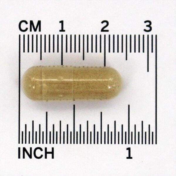 Comprar Complexo Diosmin - Cápsulas 60 LifeTime Vitamins - Imagem 4