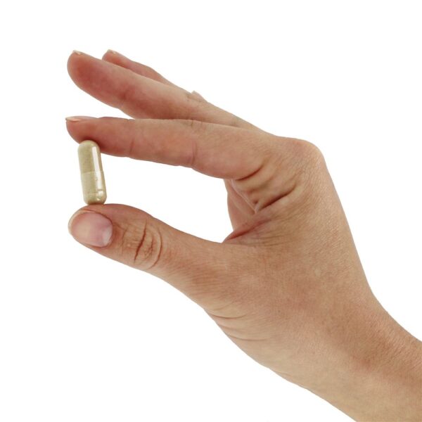 Comprar Complexo Diosmin - Cápsulas 60 LifeTime Vitamins - Imagem 5