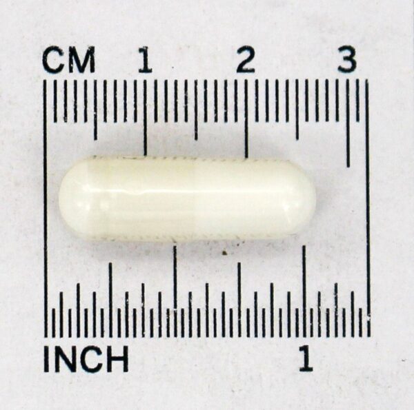Comprar Aminoácido L-Ornitina 500 mg . - Cápsulas 120 NOW Foods - Imagem 4