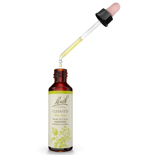 Comprar Bach Flor Original Remedy Dropper Clematis Essência Da Flor - 20 ml. Bach - Imagem 4