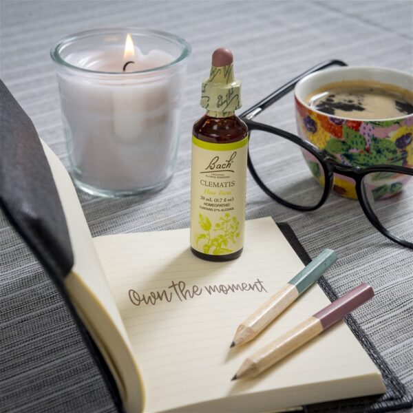 Comprar Bach Flor Original Remedy Dropper Clematis Essência Da Flor - 20 ml. Bach - Imagem 5
