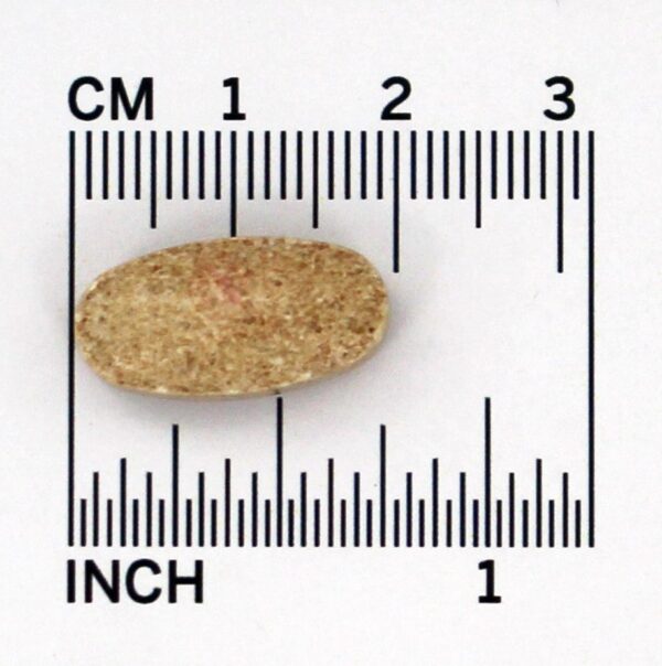 Comprar Boswellia Articulação e Respiratório Função Maior Potência - 60 Pastilhas vegetarianas anteriormente Ayurceutics Savesta - Imagem 5