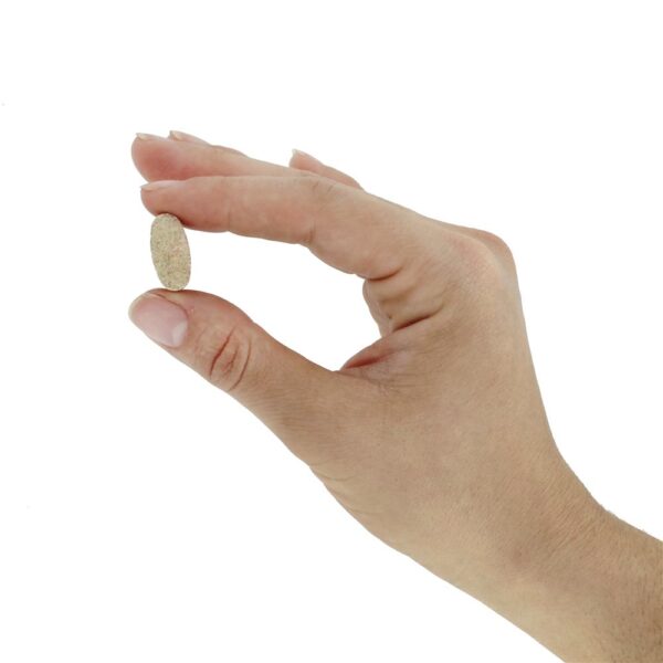 Comprar Boswellia Articulação e Respiratório Função Maior Potência - 60 Pastilhas vegetarianas anteriormente Ayurceutics Savesta - Imagem 6