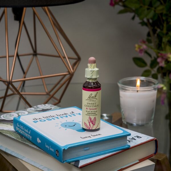 Comprar Essência de remédio de flor Original de Bach Essência de flor de castanha doce - 20 ml. Bach - Imagem 5