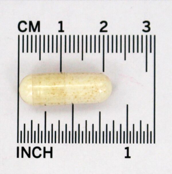 Comprar PS-100 100 mg. - Cápsulas 120 Jarrow Formulas - Imagem 4