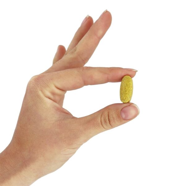 Comprar Simplesmente um multivitaminas do poder triplicar-se das mulheres ferro livre - 90 Tablets Super Nutrition - Imagem 5