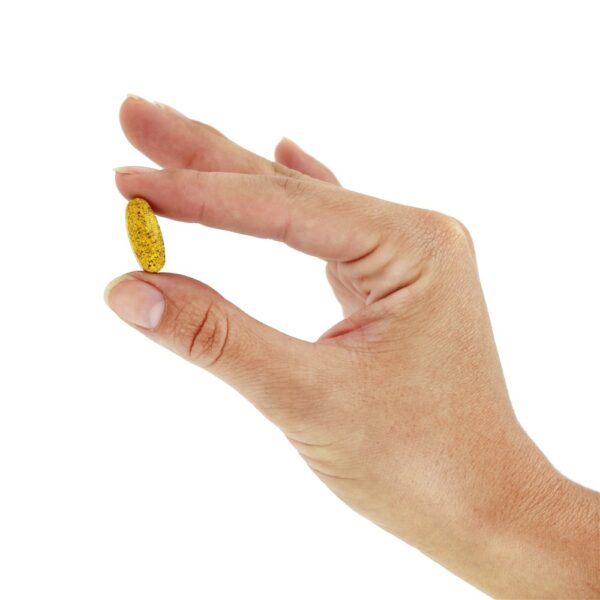 Comprar Mistura Feminina MultiVitamina Ferro Livre - 180 Tablets Super Nutrition - Imagem 6
