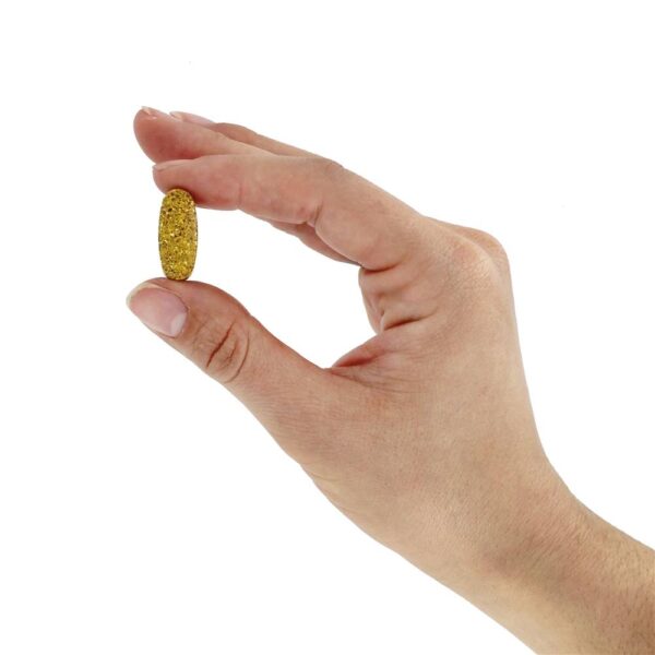 Comprar Simply One Multivitamínico Para Mulheres Com +50 Anos Potência Tripla Sem Ferro - 90 Tablets Super Nutrition - Imagem 5