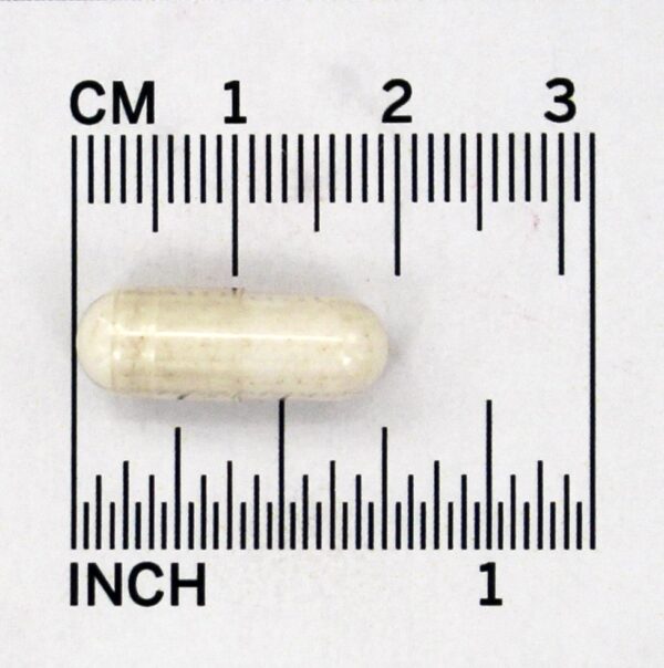Comprar Nattokinase 2000 FU - Cápsulas vegetarianas 90 Doctor's Best - Imagem 4