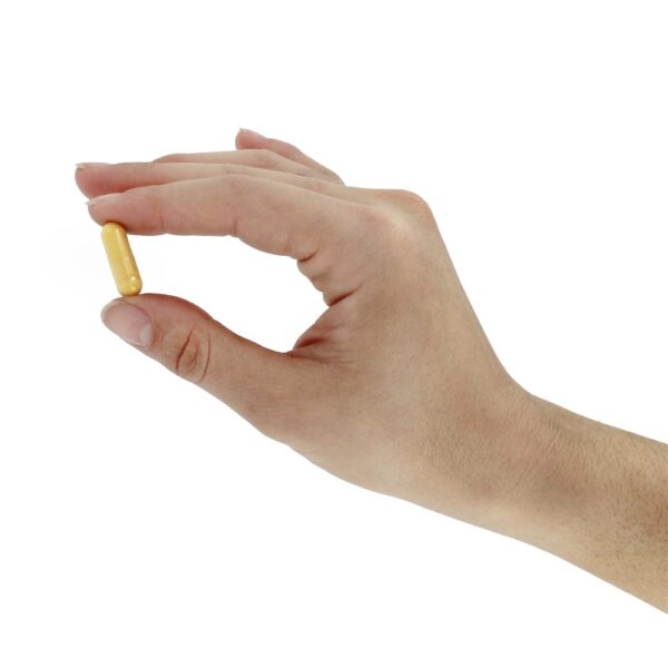 Comprar CoQ10 de Alta Absorção com BioPerina 100 mg. - Cápsulas vegetarianas 120 Doctor's Best - Imagem 5