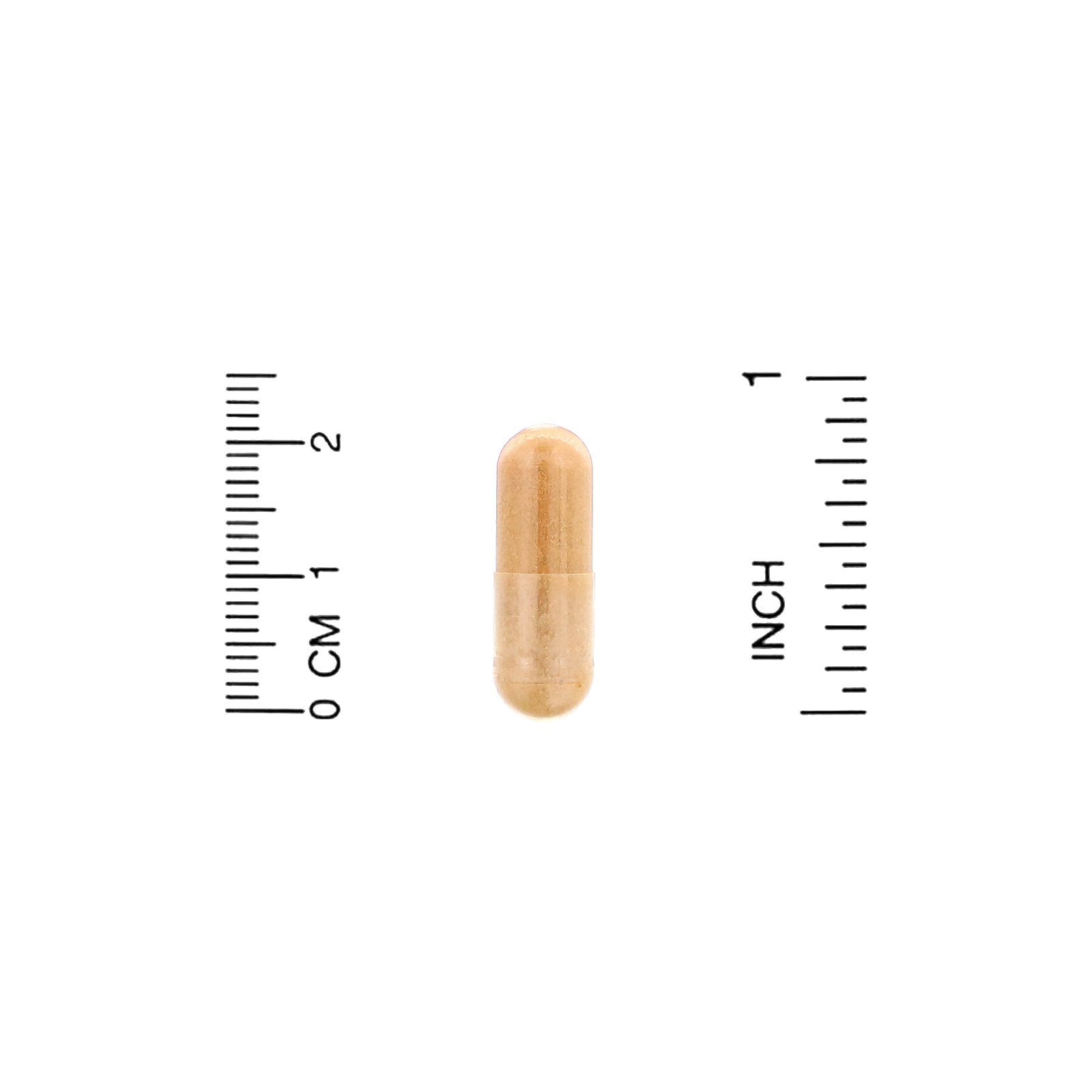 Comprar Lake Avenue Nutrition, Extrato de Cardo Mariano, 175 mg, 240 Cápsulas Vegetais - Imagem 3