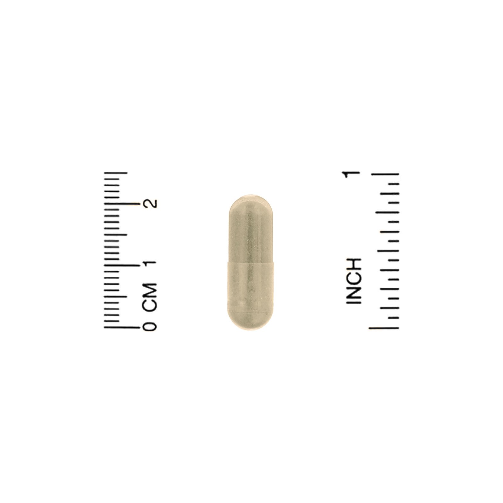 Comprar Organic India, Memory, 90 Vegetarian Caps - Imagem 3