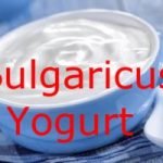 Bulgaricus Iogurte Infinito – com Frete Grátis