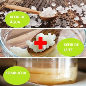 Combo – Kefir de Leite + Kefir de Água + Kombuchá – com Frete Grátis