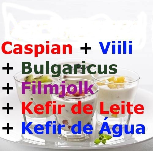 6 Probióticos – Kefir de Leite + Kefir de Água + Caspian + Viili + Bulgaricus + Filmjolk – com Frete Grátis