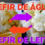 Combo – KEFIR DE LEITE + KEFIR DE ÁGUA – com Frete Grátis 1